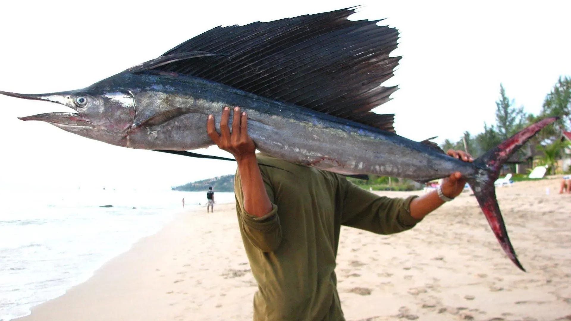 Nature Beach Resort, Koh Lanta Resort